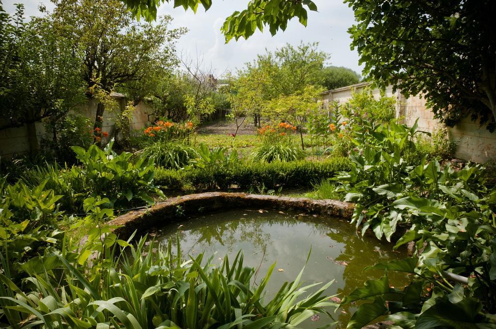 Gîte des Grands Moulins de Baugé Esterno foto